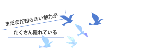 まだまだ知らない魅力がたくさん隠れている