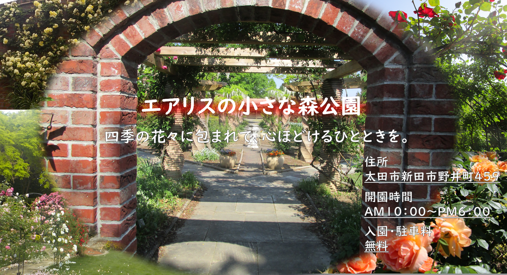 エアリス小さな森公園