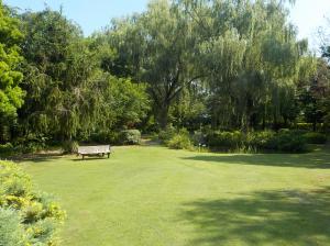 エアリスの小さな森公園_令和6年6月11日_施設の様子4