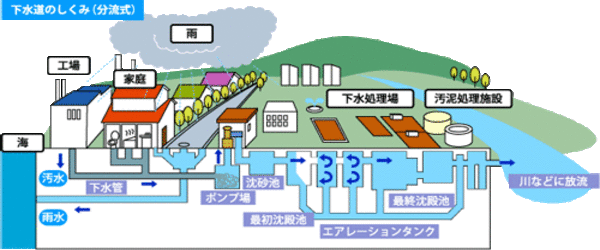 下水処理の仕組みの画像