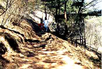 金山遊歩道の写真