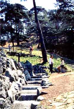 金山公園の写真