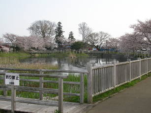 ため池100選の画像3