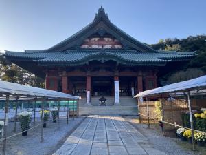 関東菊花大会