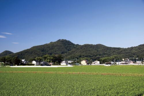 夏の金山
