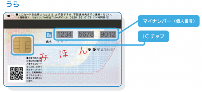 マイナンバーカード裏面