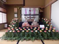 ちょうようのせっく