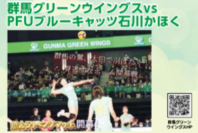 群馬グリーンウイングス