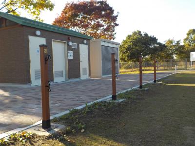 ドッグポール写真