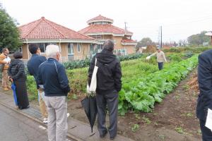 現地視察の様子