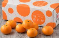 みかん（瀬戸の晴れ姫）