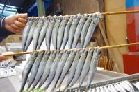 いわし丸干し(作業)