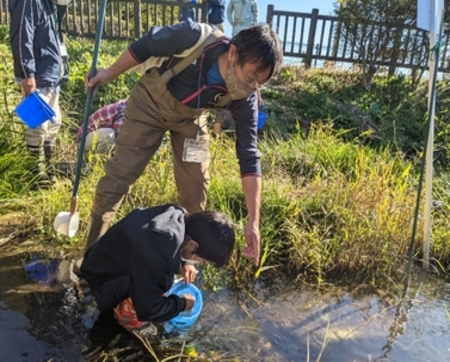 水生生物採取の様子の画像