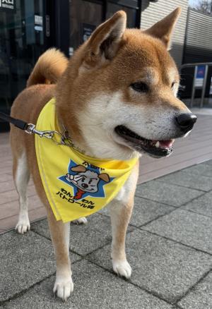 鳥之郷地区で活躍中
