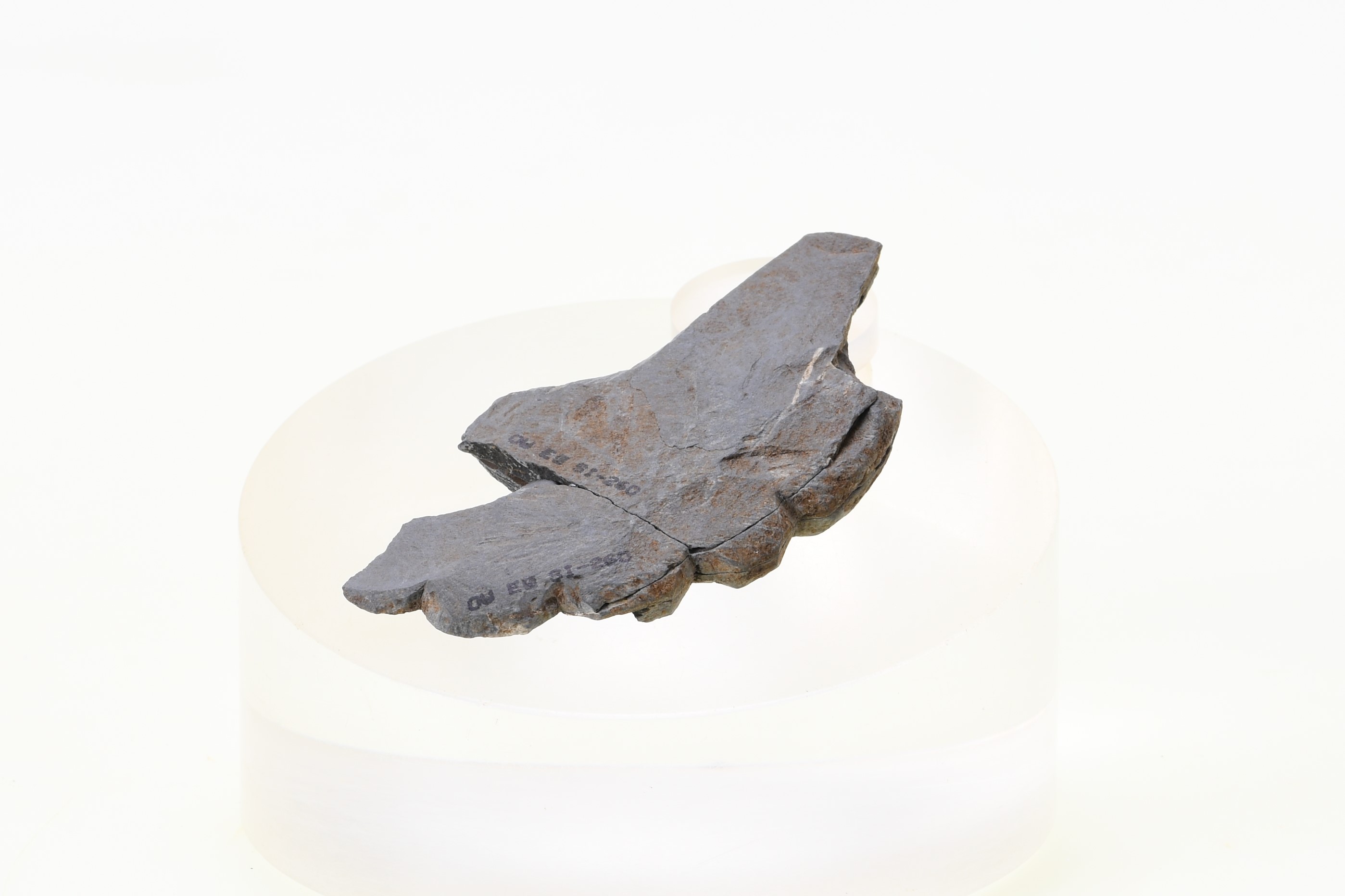 反丸遺跡出土粘板岩製子持勾玉