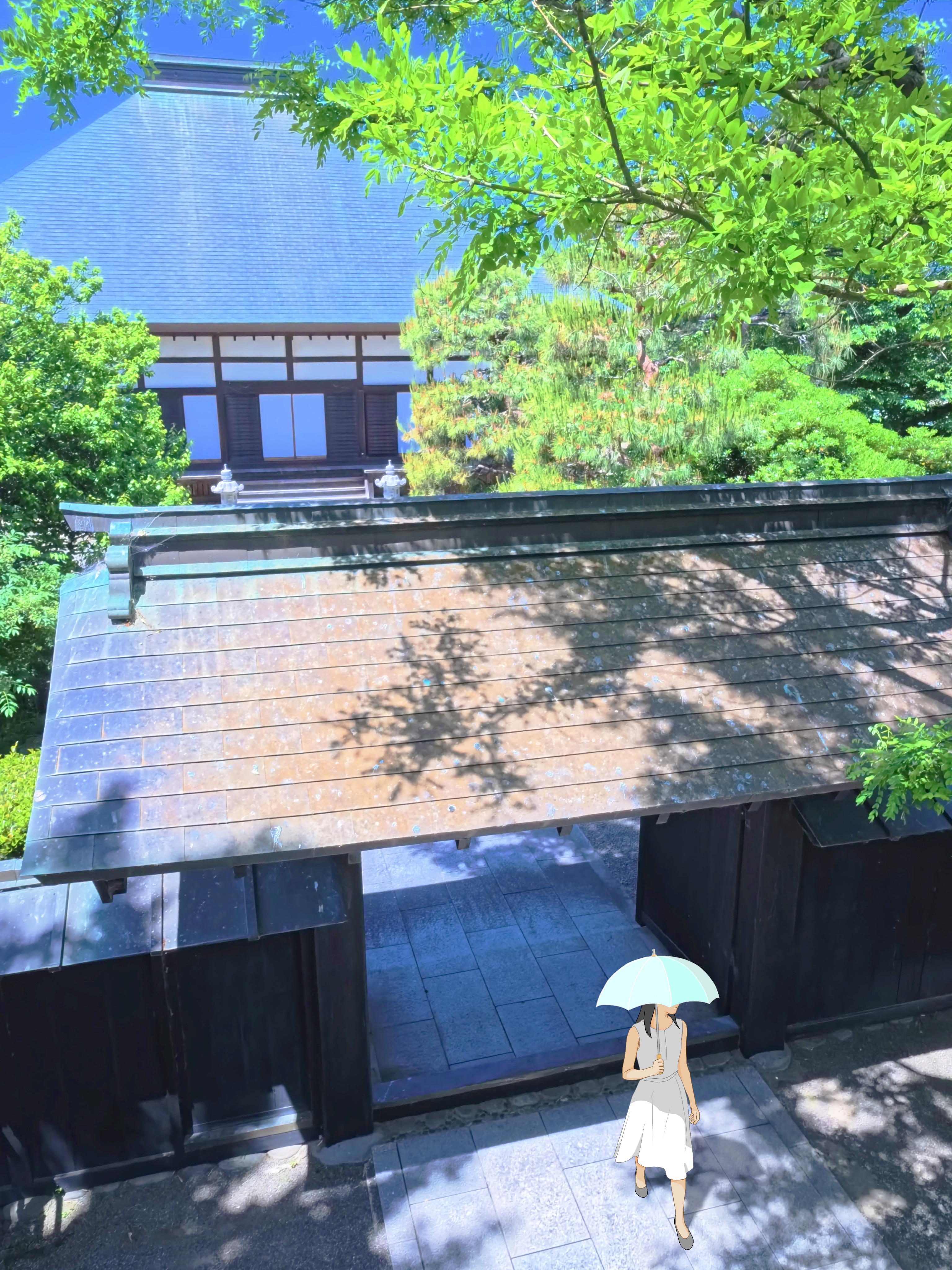 まんとくじとっぷがぞう