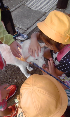 子ども達とわんパト犬の画像