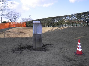 1月の状況（1）
