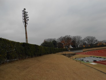 11月の状況1