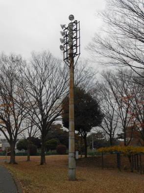11月の状況2