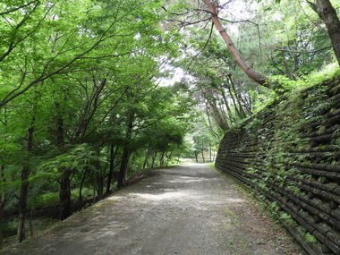 キャンプ場内ホールへ続く道の画像