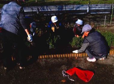 花植え作業