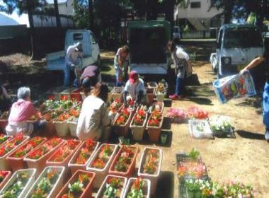 花植え写真