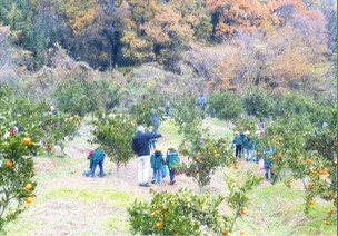 菅塩地区景観美活動の画像