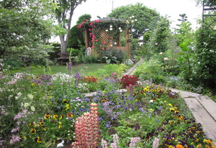 生垣を中心とした自然景観　花と緑のまちづくりの画像