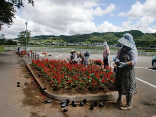 三島神社公園駐車場周辺緑化の画像