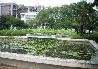 八瀬川公園噴水池の景観保全の画像