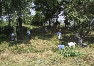 新田地区の景観保全活動の画像