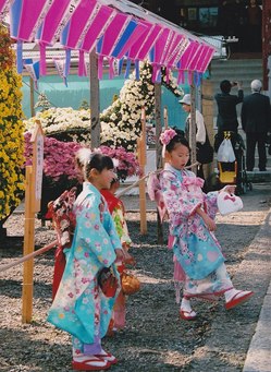 8．菊花大会会場風景（撮影場所6）の画像