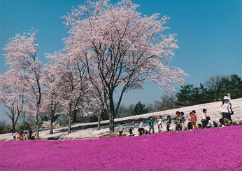 27．春の遠足（撮影場所18）の画像