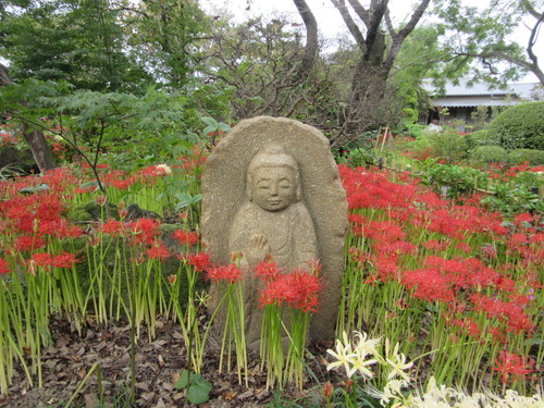 常楽寺の画像2