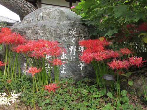 常楽寺の画像3