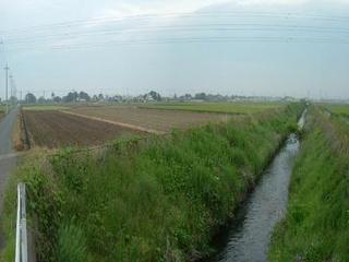 農地防災事業韮川遊水池施工前