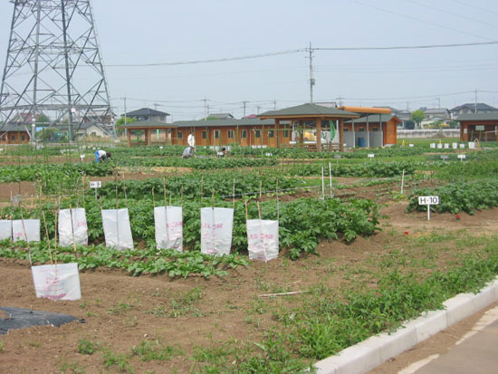 市民農園全景