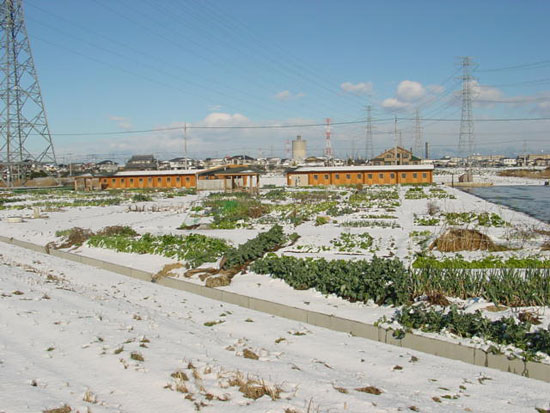 市民農園雪景色