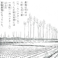 「まんが太田の歴史」（発行／太田市） 　172ページ 　実験農場が明治末期には14町(14ヘクタール)以上になった