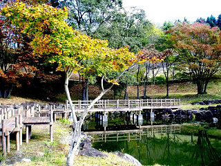 八王子山の紅葉の画像