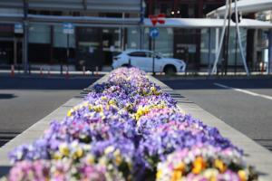 太田駅南口駅前広場花壇