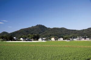 夏の金山