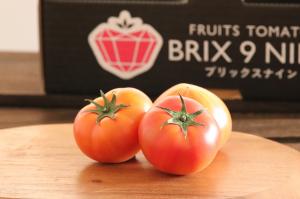 ブリックスナイン