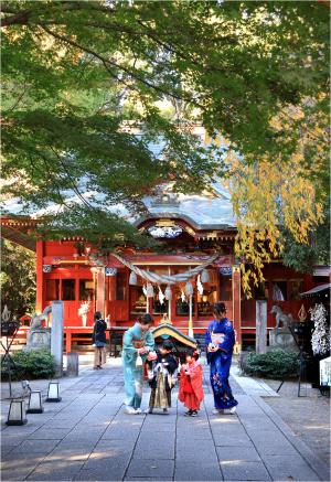 令和7年　最優秀賞　「佳き日」　千葉　直江