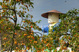 太田市やぶ塚かかし祭り写真